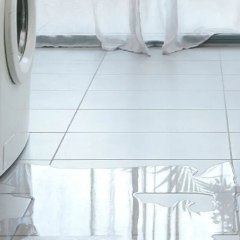 Appliance Leak Cleanup in Chippewa County, WI