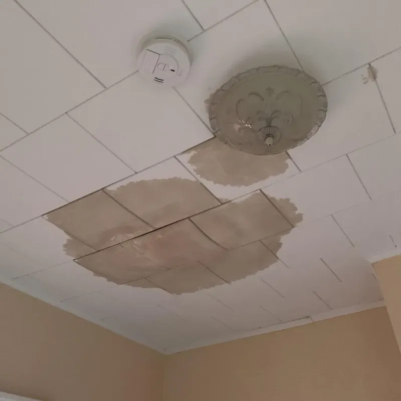 Ceiling Water Damage Repair in Chippewa County, WI