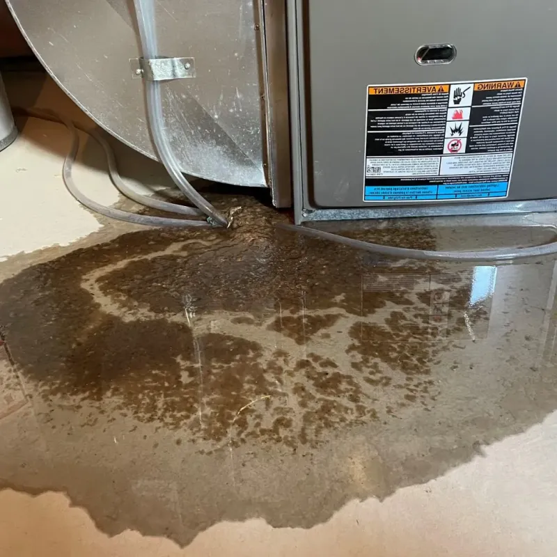 Pipe Burst and Leak Restoration in Chippewa County, WI