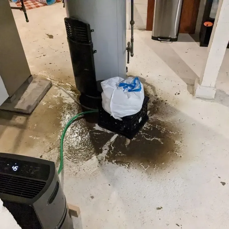 Sewage Backup Cleanup Service in Chippewa County, WI